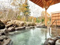 Ryokan Okayama - Hot Springs
