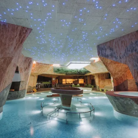 Viiking Spa Hotel