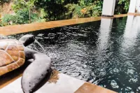 The Secret Hut - Tree-Huts de Busay - Bed and Breakfasts