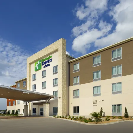 Holiday Inn Express & Suites BAY CITY by IHG