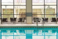 Pittsburgh Airport Marriott - Pools