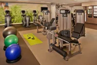 The Westin Book Cadillac Detroit - Gym
