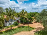 Olive Farm @ Embassy International Riding School -  Privatzimmer