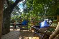 Sweet Songs Jungle Lodge - Homestay