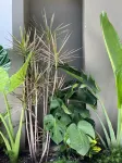 Suite Leticia- Eonia Adults only - 酒店式公寓