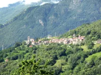 Bellavista Grv391