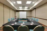 Hotel Indigo Chicago-Vernon Hills Hotels in Mettawa