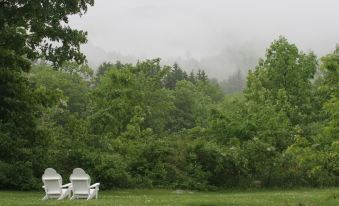 two white lawn chairs are placed in a grassy area with trees and fog in the background at Three Mountain Inn