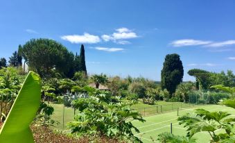 a tennis court surrounded by trees and bushes , with a blue sky in the background at Casa Matilde