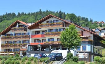 Hotel Geiger