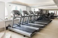 Holiday Inn ISTANBUL CITY by IHG - Gym