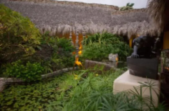 特塔西奧尼斯酒店基小型游泳池 - 限成人入住 酒店