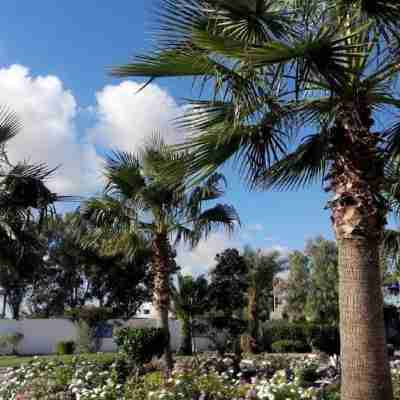 Aylimas Beach & Resort Others