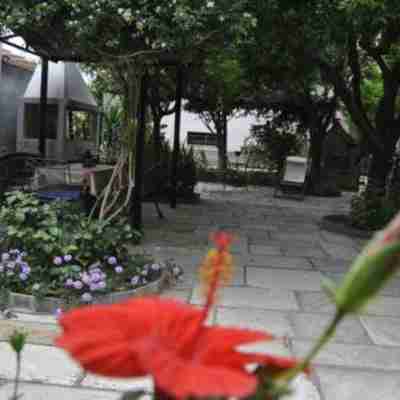 Guesthouse Machi Hotel Exterior