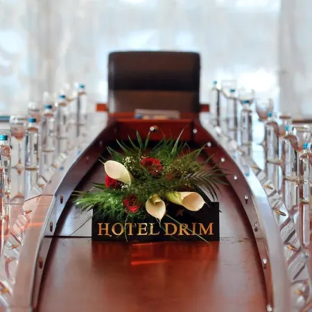 Hotel Drim
