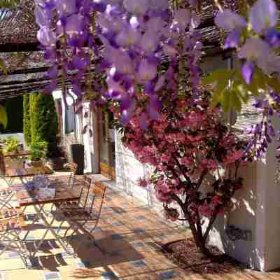 Logis Hotel Le Nouvel Hotel Exterior