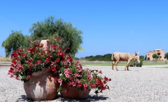 B&B Maliva - Housity