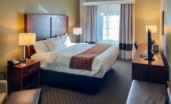 Comfort Inn & Suites Midtown