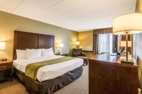 Comfort Inn Plymouth-Minneapolis Hotels near Massage Envy