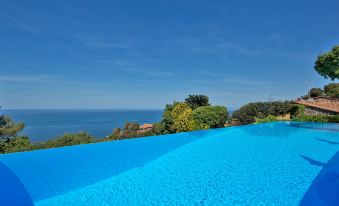 a large swimming pool overlooking the ocean , with a house and trees in the background at Boutique Hotel Torre di Cala Piccola