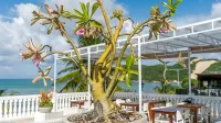Serhs Beach Hotel - 4 Sao