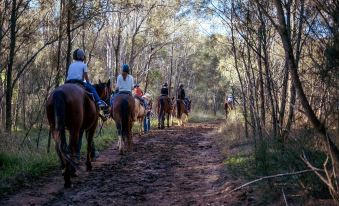 Hunter Valley Resort, Hunter Farm Adventure Centre & 4 Pines at The Farm