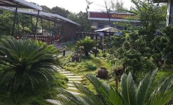 a lush green garden with various plants and trees , as well as a restaurant sign in the background at Hoang Trung Hotel
