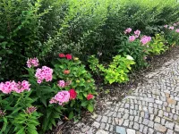 Apartment on the Elbe Ferry - Apartment for 2 - 3 People Hotels in Laubegast