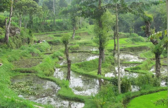 特特巴圖英達民宿