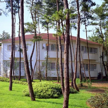 Seagaia Forest Cottage(Old:Cottage HIMUKA)