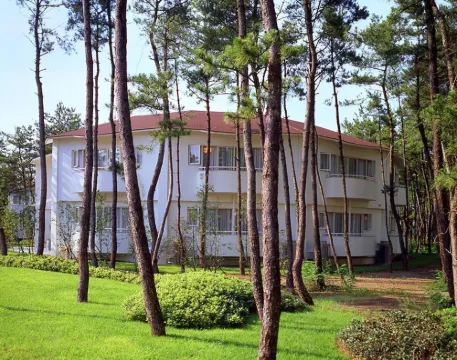 Seagaia Forest Cottage(Old:Cottage HIMUKA)