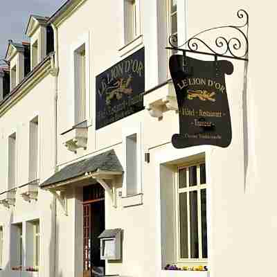 Hôtel Restaurant Le Lion d'Or Hotel Exterior