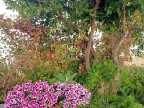 Home Scala dei Turchi B&B Hotels in Realmonte