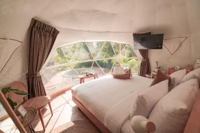 Fairest Domestay Hotels in 