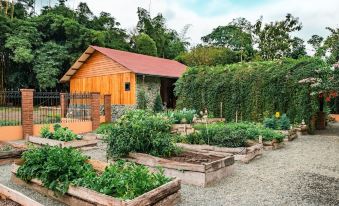 a wooden shed surrounded by a lush garden , with various plants and vegetables growing in it at Hacienda la Danesa