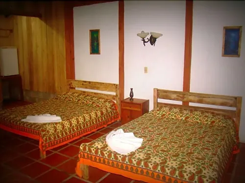La Gamba Rainforest Lodge Hotels in Golfito