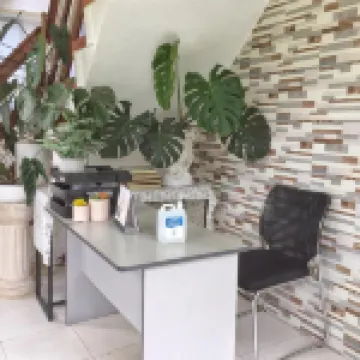 The VeeHive Guesthouse