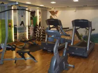 斯堪迪克塞格萬酒店 - 健身室/gym room