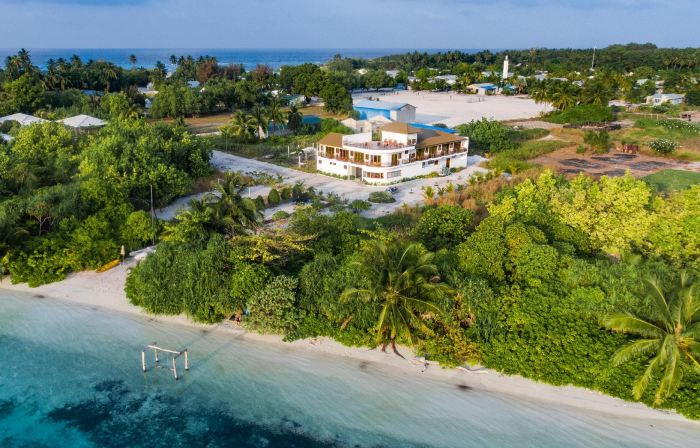 Olive Goidhoo