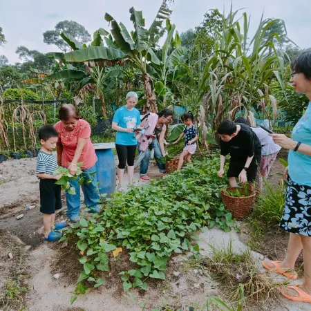 Tree Story Farm by FarmVille @ Seremban
