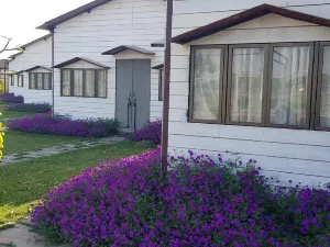 Living Green Farms