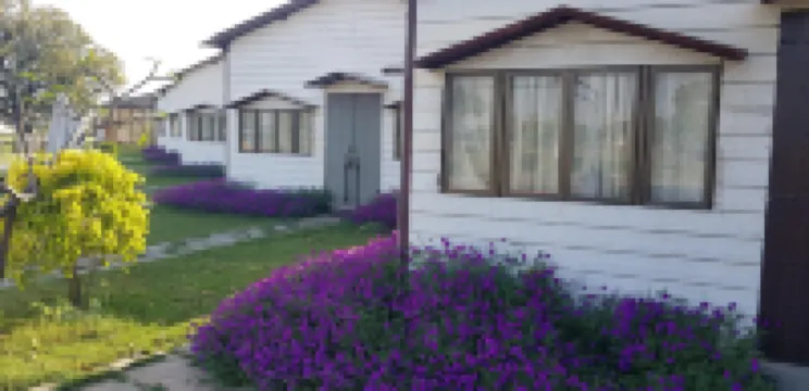Living Green Farms