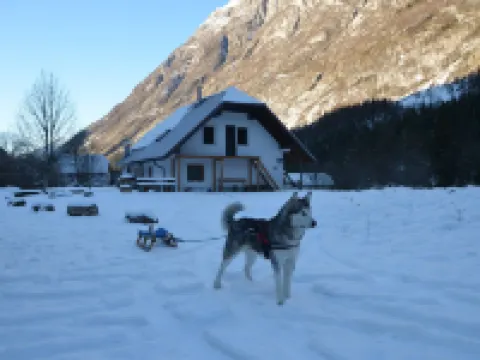Soča Home with the View Hotels in Soca