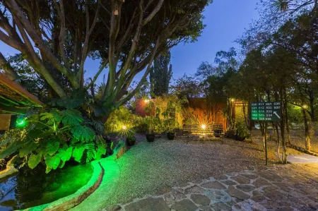 Hotel Victoria Oaxaca Отели в г. Оахака