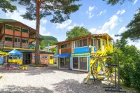 소나무펜션 정선군 호텔