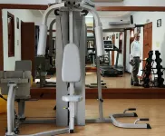 Pride Amber Vilas Resort & Convention Centre - palestra