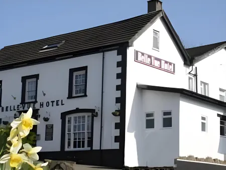Belle Vue Hotel Отели в г. Llanwrtyd Wells