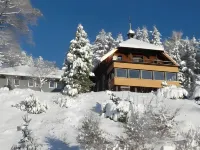 Hotel & Chalets Herrihof Hotels in Todtnauberg