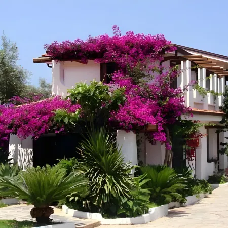 Villaggio la Pizzuta