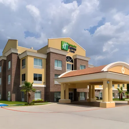 Holiday Inn Express & Suites HOUSTON NW - TOMBALL AREA by IHG